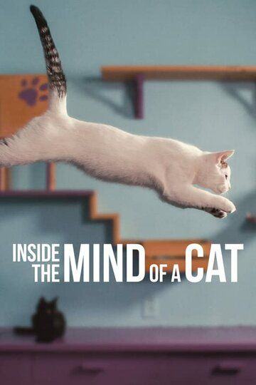Смотреть Внутри разума кошки онлайн в HD качестве 1080p