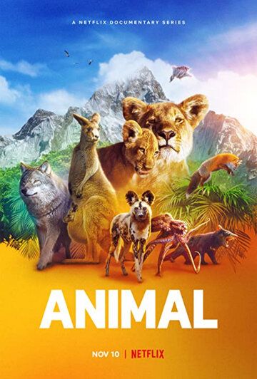 Смотреть Удивительные животные онлайн в HD качестве 1080p