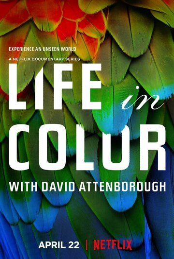 Смотреть Жизнь в цвете с Дэвидом Аттенборо онлайн в HD качестве 1080p