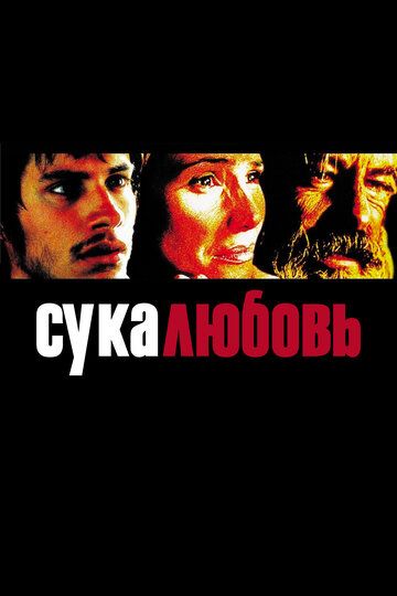 Смотреть Сука-любовь онлайн в HD качестве 1080p