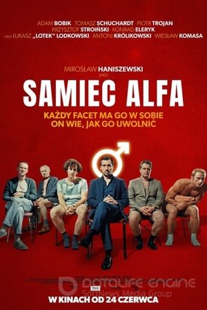 Смотреть Альфа-самец онлайн в HD качестве 1080p