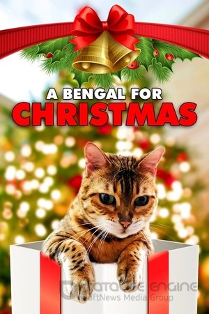 Смотреть Бенгальская кошка на Рождество онлайн в HD качестве 1080p